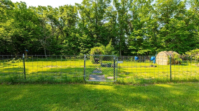 17910 27th Ave, Fair Haven Twp, MN 55320 - view of yard