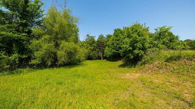 17910 27th Ave, Fair Haven Twp, MN 55320 - view of tree filled area