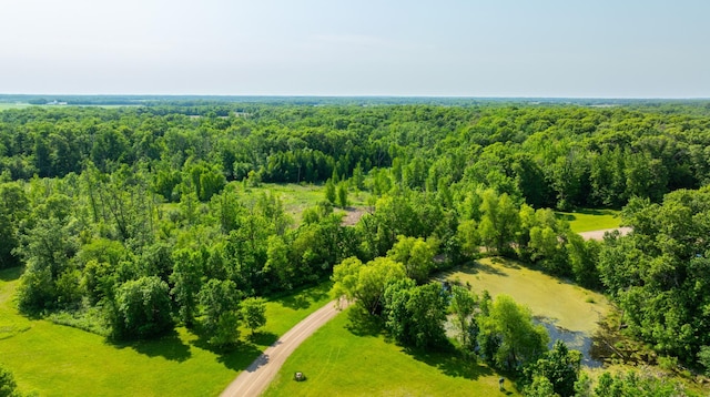 17910 27th Ave, Fair Haven Twp, MN 55320 - aerial view of a forest