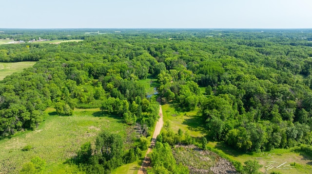 17910 27th Ave, Fair Haven Twp, MN 55320 - aerial view of a forest