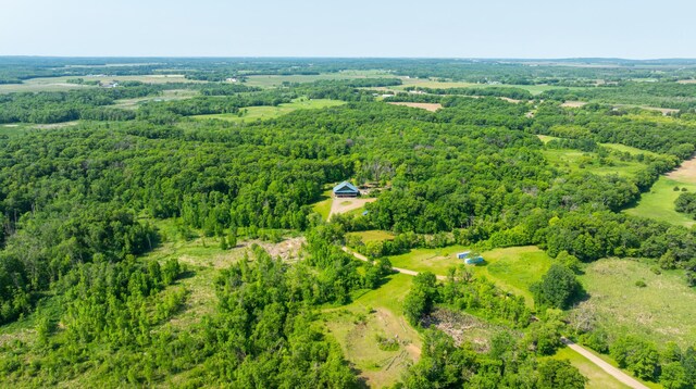 17910 27th Ave, Fair Haven Twp, MN 55320 - bird's eye view of a heavily wooded area