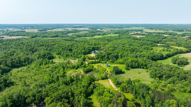 17910 27th Ave, Fair Haven Twp, MN 55320 - bird's eye view of a forest