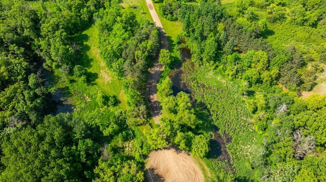 17910 27th Ave, Fair Haven Twp, MN 55320 - drone / aerial view