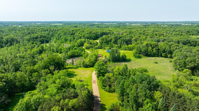 17910 27th Ave, Fair Haven Twp, MN 55320 - aerial view of a forest