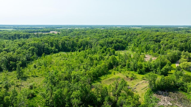 17910 27th Ave, Fair Haven Twp, MN 55320 - bird's eye view of a forest