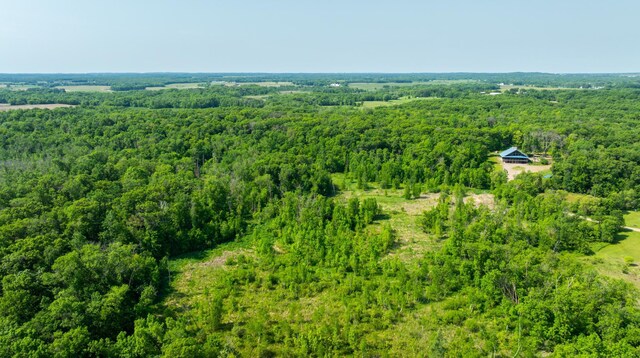 17910 27th Ave, Fair Haven Twp, MN 55320 - aerial view of a forest