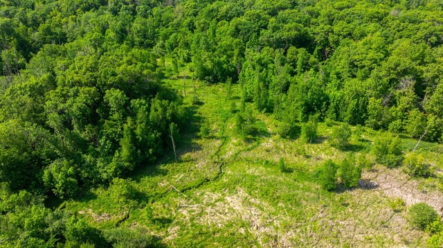 17910 27th Ave, Fair Haven Twp, MN 55320 - aerial view of property and surrounding area with a heavily wooded area