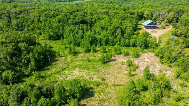 17910 27th Ave, Fair Haven Twp, MN 55320 - bird's eye view of a forest