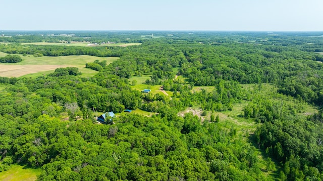 17910 27th Ave, Fair Haven Twp, MN 55320 - bird's eye view of a heavily wooded area