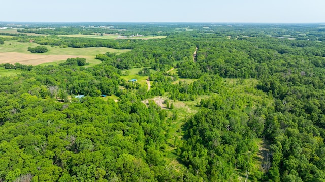17910 27th Ave, Fair Haven Twp, MN 55320 - aerial view of a forest