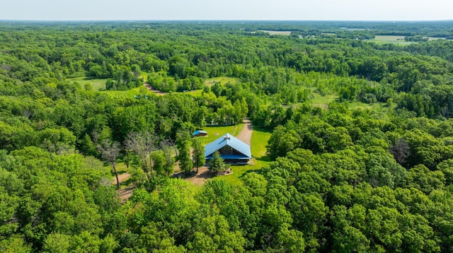 17910 27th Ave, Fair Haven Twp, MN 55320 - aerial view of a forest