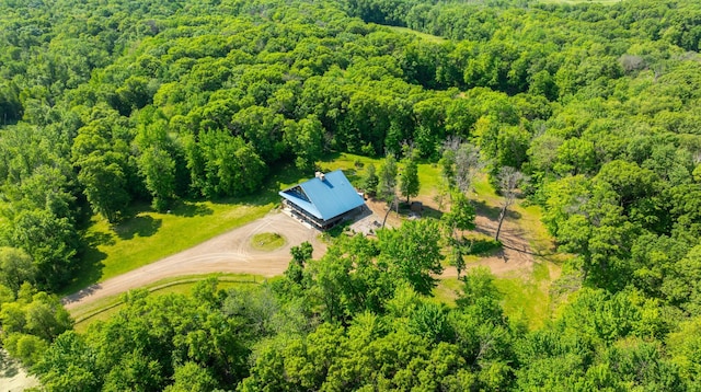 17910 27th Ave, Fair Haven Twp, MN 55320 - aerial view of property and surrounding area featuring a heavily wooded area