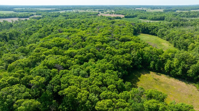17910 27th Ave, Fair Haven Twp, MN 55320 - drone / aerial view of a forest