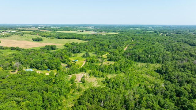 17910 27th Ave, Fair Haven Twp, MN 55320 - aerial view of a forest