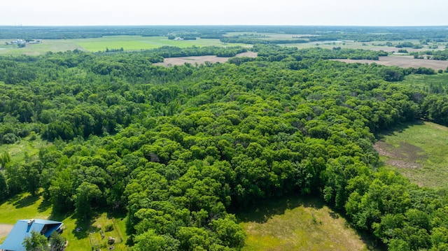 17910 27th Ave, Fair Haven Twp, MN 55320 - aerial view of a forest
