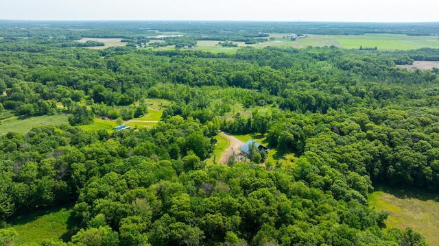 17910 27th Ave, Fair Haven Twp, MN 55320 - bird's eye view of a forest