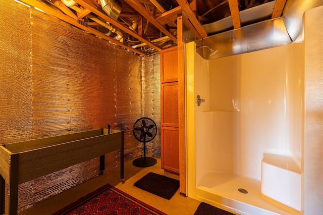 17910 27th Ave, Fair Haven Twp, MN 55320 - full bathroom with a walk in shower