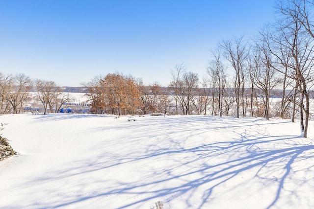 view of yard covered in snow