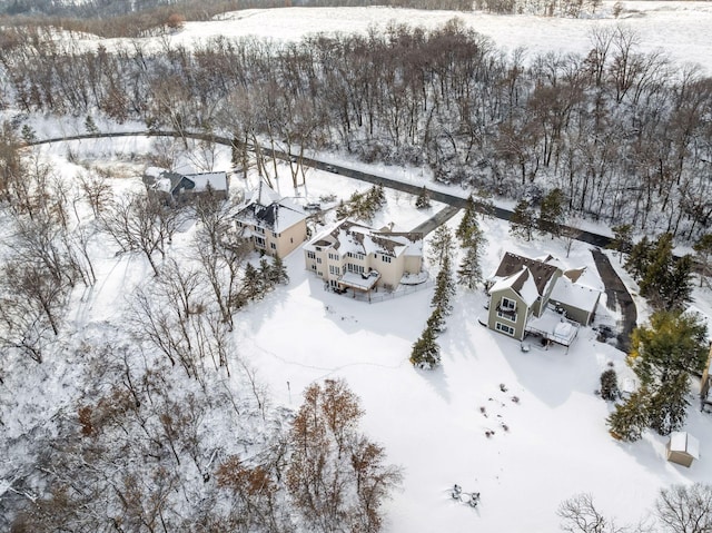 view of snowy aerial view