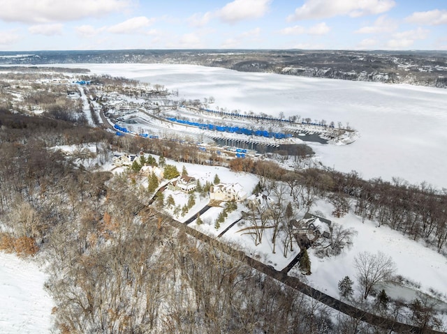 view of snowy aerial view