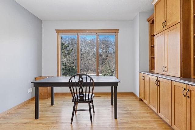 office with light wood-type flooring and baseboards