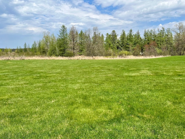 view of local wilderness