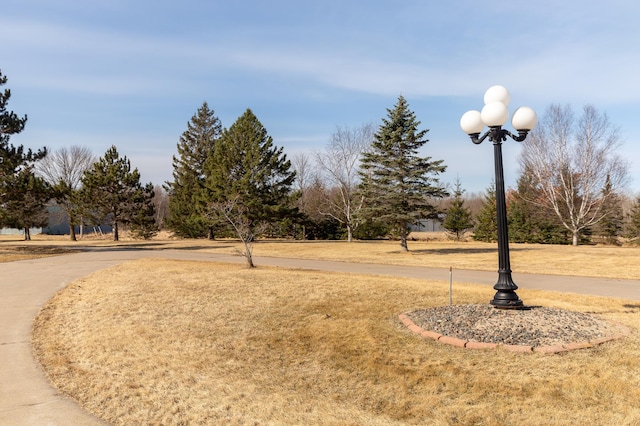 view of property's community