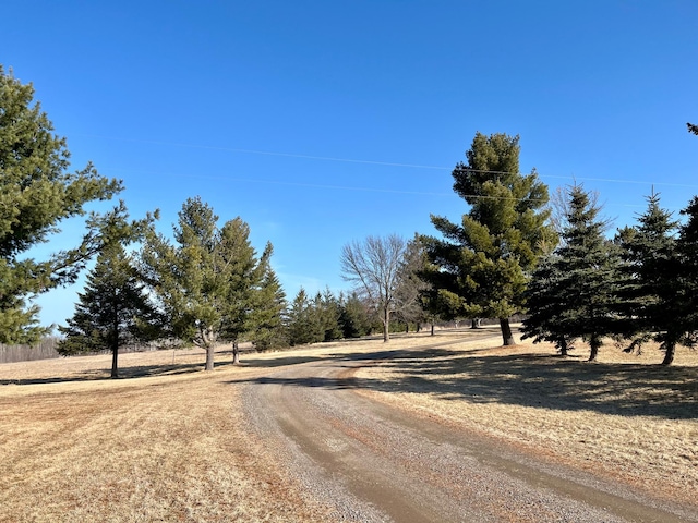 view of dirt / gravel road