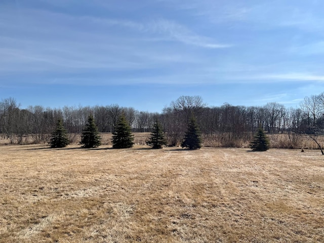 view of local wilderness featuring rural landscape
