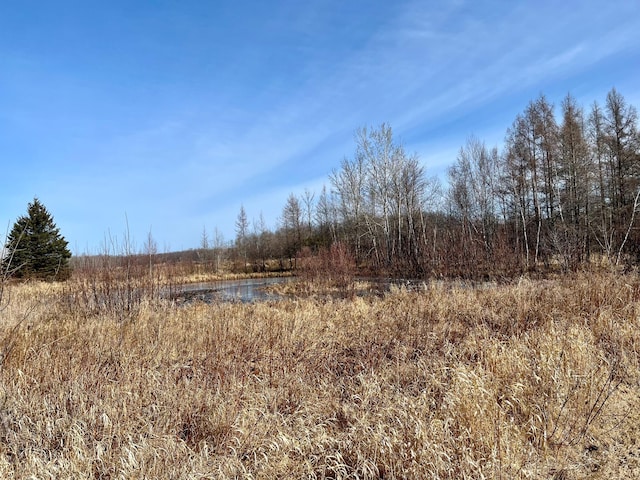 view of nature