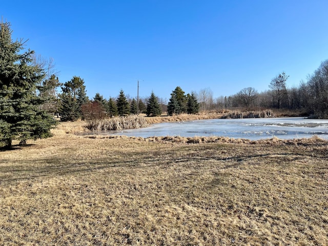 view of yard with a water view