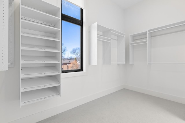 spacious closet featuring carpet flooring