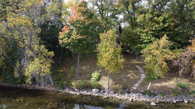 aerial view featuring a view of trees