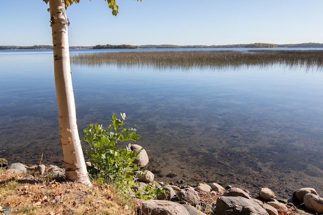 view of water feature