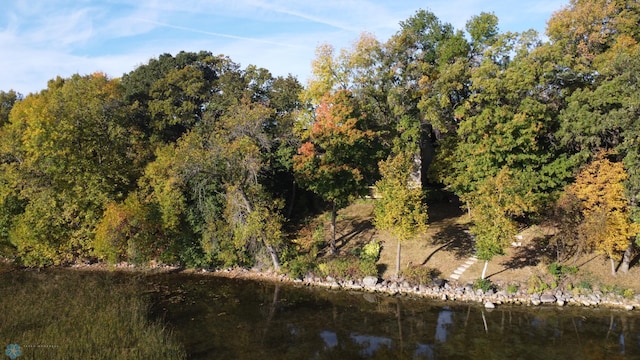 view of local wilderness with a view of trees and a water view