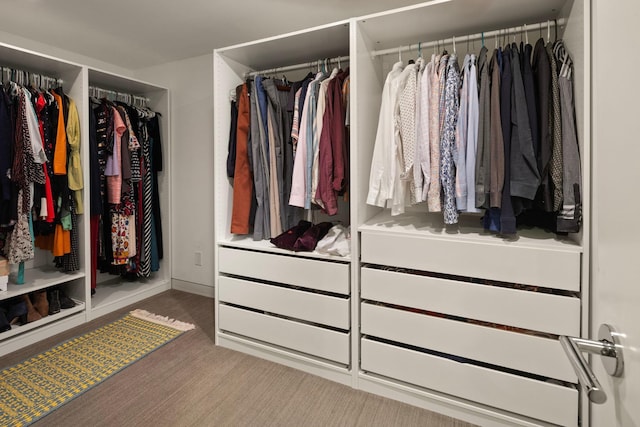 walk in closet with carpet flooring