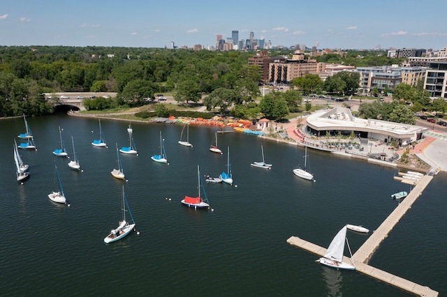 property view of water featuring a view of city