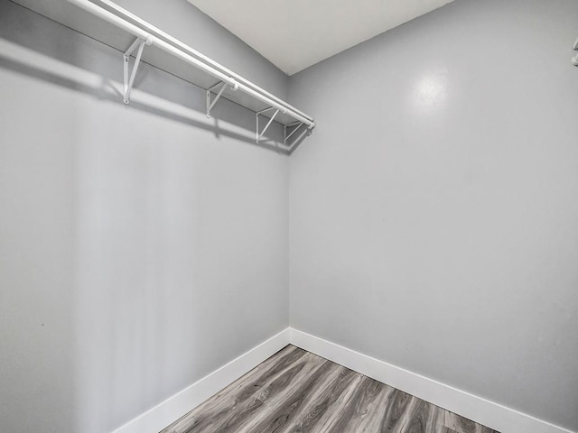 walk in closet featuring wood finished floors