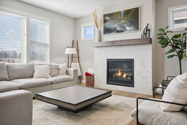 living room with a fireplace and wood finished floors