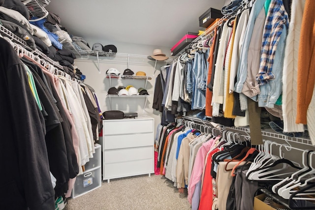 walk in closet with carpet floors