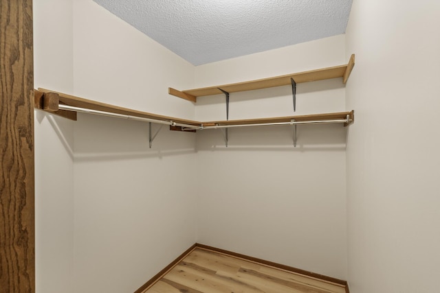 walk in closet with light wood-style floors