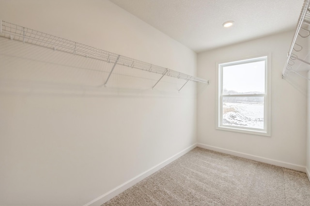 spacious closet featuring carpet flooring