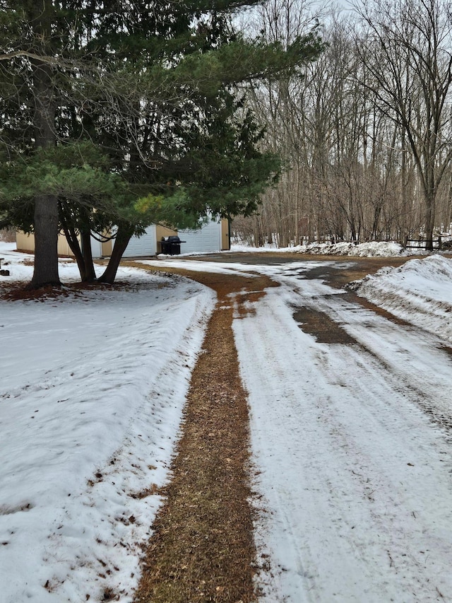 view of road featuring driveway