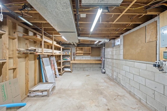 unfinished basement with electric panel