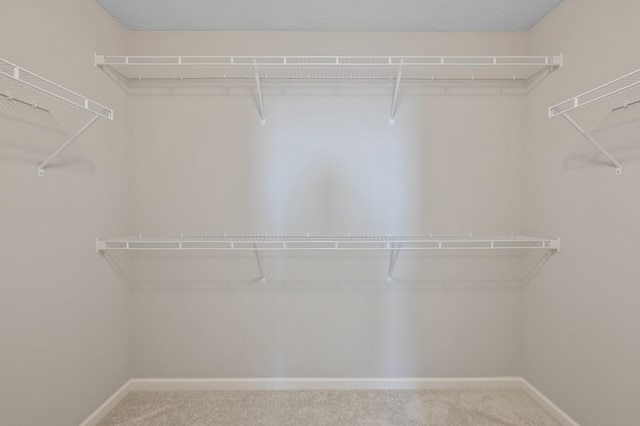 walk in closet with carpet flooring