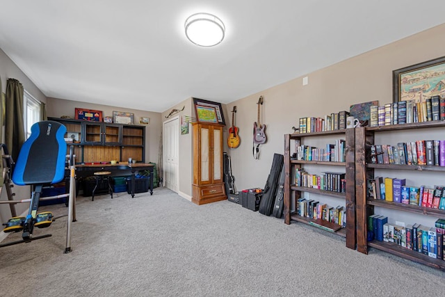 office area featuring carpet