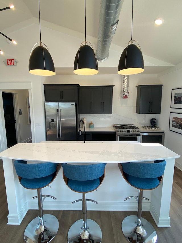 kitchen featuring lofted ceiling, a sink, dark wood-type flooring, appliances with stainless steel finishes, and dark cabinets