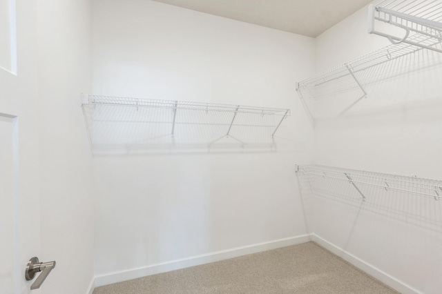 walk in closet featuring light colored carpet