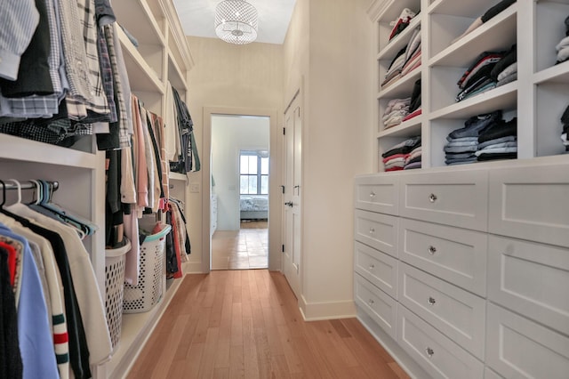 spacious closet featuring light wood-style flooring