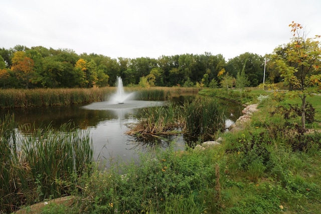 water view with a forest view